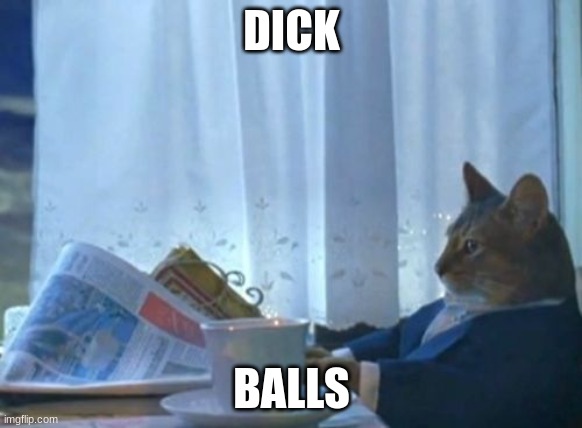 BALLS | DICK; BALLS | image tagged in memes,i should buy a boat cat | made w/ Imgflip meme maker