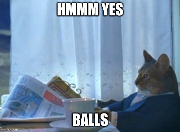 balls | HMMM YES; BALLS | image tagged in memes,i should buy a boat cat | made w/ Imgflip meme maker