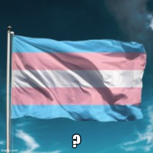 Trans Flag | ? | image tagged in trans flag | made w/ Imgflip meme maker