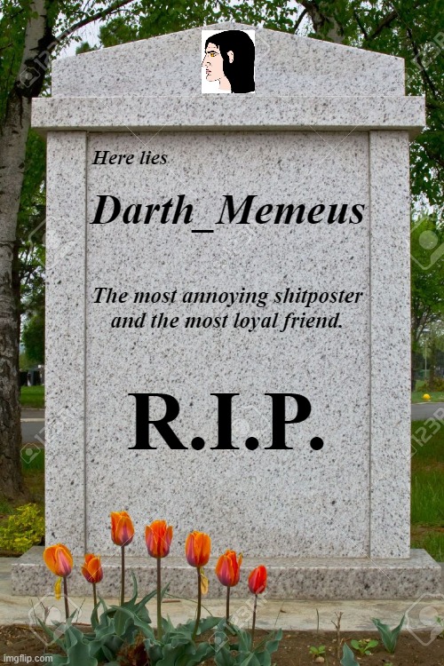 R.I.P | image tagged in rip,rest in peace | made w/ Imgflip meme maker