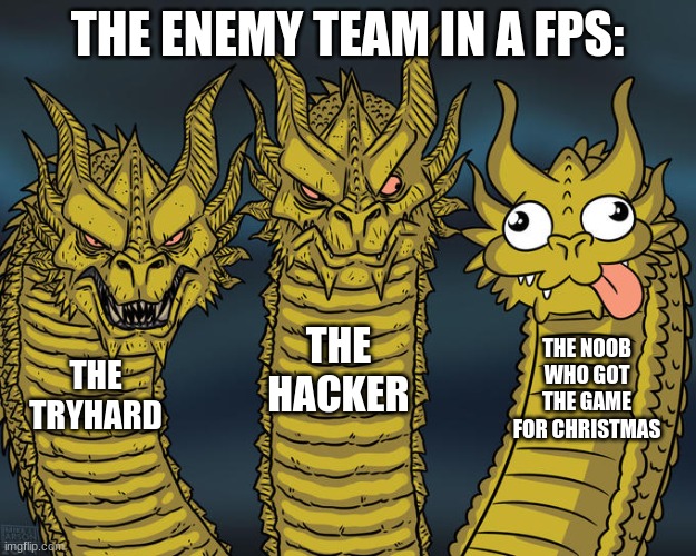 FPS teams be like | THE ENEMY TEAM IN A FPS:; THE HACKER; THE NOOB WHO GOT THE GAME FOR CHRISTMAS; THE TRYHARD | image tagged in three-headed dragon | made w/ Imgflip meme maker