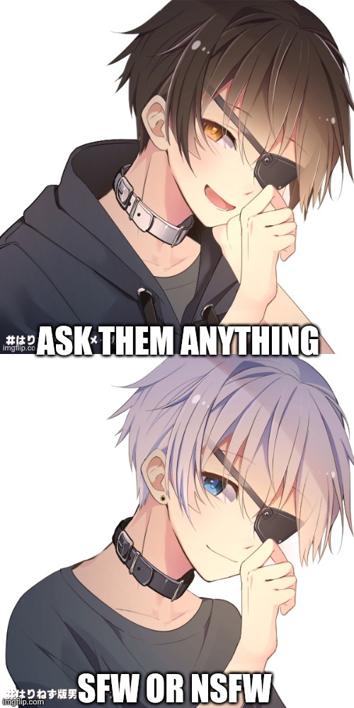 These two brothers | ASK THEM ANYTHING; SFW OR NSFW | made w/ Imgflip meme maker