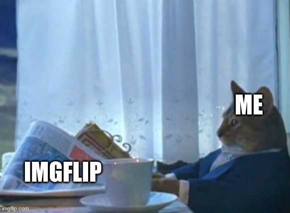 . | ME; IMGFLIP | image tagged in memes,i should buy a boat cat | made w/ Imgflip meme maker