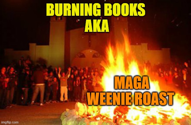 Harry Potter book burning | BURNING BOOKS
 AKA MAGA WEENIE ROAST | image tagged in harry potter book burning | made w/ Imgflip meme maker