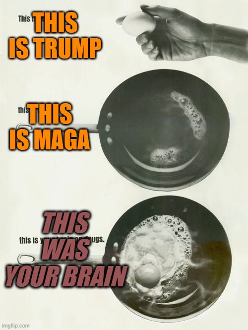 this is your brain on drugs | THIS IS TRUMP THIS IS MAGA THIS WAS YOUR BRAIN | image tagged in this is your brain on drugs | made w/ Imgflip meme maker