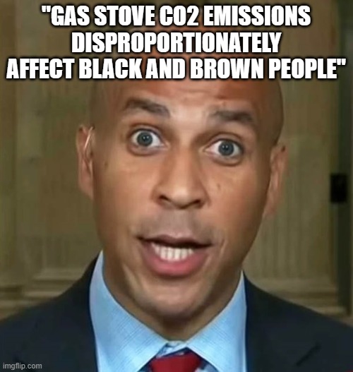 Corey Booker | "GAS STOVE CO2 EMISSIONS DISPROPORTIONATELY AFFECT BLACK AND BROWN PEOPLE" | image tagged in corey booker | made w/ Imgflip meme maker