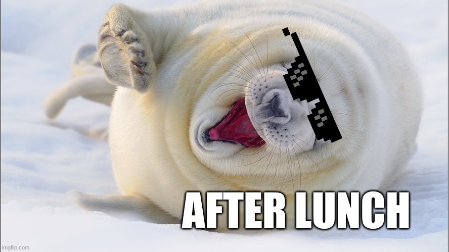 endangered animals | AFTER LUNCH | image tagged in save seal lions | made w/ Imgflip meme maker