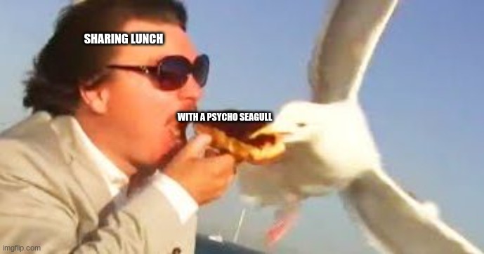 swiping seagull | SHARING LUNCH; WITH A PSYCHO SEAGULL | image tagged in swiping seagull | made w/ Imgflip meme maker