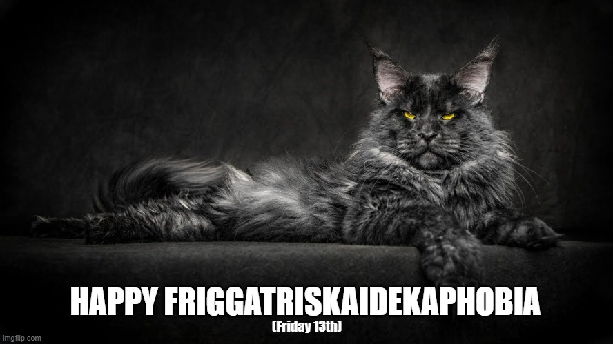 Happy Friggatriskaidekaphobia |  HAPPY FRIGGATRISKAIDEKAPHOBIA; (Friday 13th) | image tagged in friggatriskaidekaphobia,friday the 13th,cat,happy friday,lucky13 | made w/ Imgflip meme maker