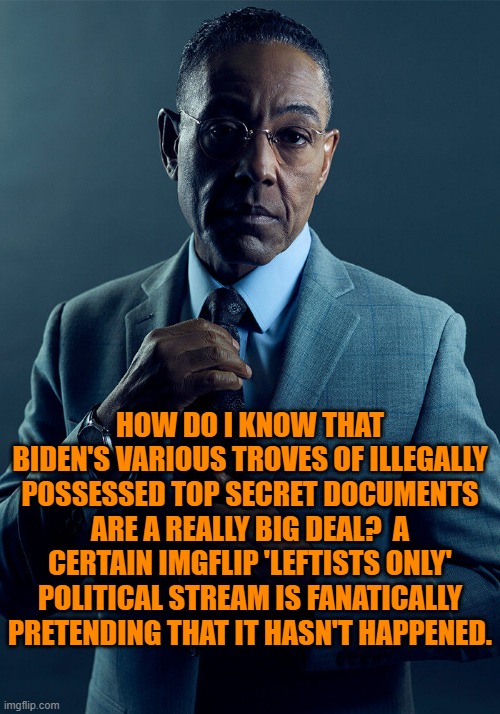 Psssst leftists . . . got MAGA? | HOW DO I KNOW THAT BIDEN'S VARIOUS TROVES OF ILLEGALLY POSSESSED TOP SECRET DOCUMENTS ARE A REALLY BIG DEAL?  A CERTAIN IMGFLIP 'LEFTISTS ONLY' POLITICAL STREAM IS FANATICALLY PRETENDING THAT IT HASN'T HAPPENED. | image tagged in gus fring we are not the same | made w/ Imgflip meme maker