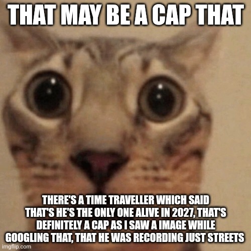 Domestic short-haired cat | THAT MAY BE A CAP THAT; THERE'S A TIME TRAVELLER WHICH SAID THAT'S HE'S THE ONLY ONE ALIVE IN 2027, THAT'S DEFINITELY A CAP AS I SAW A IMAGE WHILE GOOGLING THAT, THAT HE WAS RECORDING JUST STREETS | image tagged in domestic short-haired cat | made w/ Imgflip meme maker