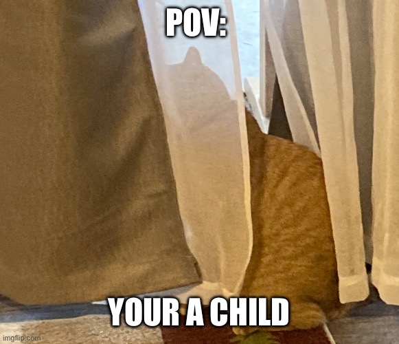 POV: your a kid | POV:; YOUR A CHILD | image tagged in cats,fun,funny,meme,hidenseek | made w/ Imgflip meme maker