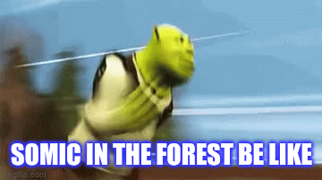 sonic in a nutshell - Imgflip