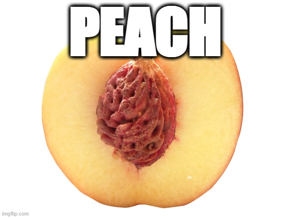PEACH | PEACH | image tagged in peach,fruit,viral meme | made w/ Imgflip meme maker