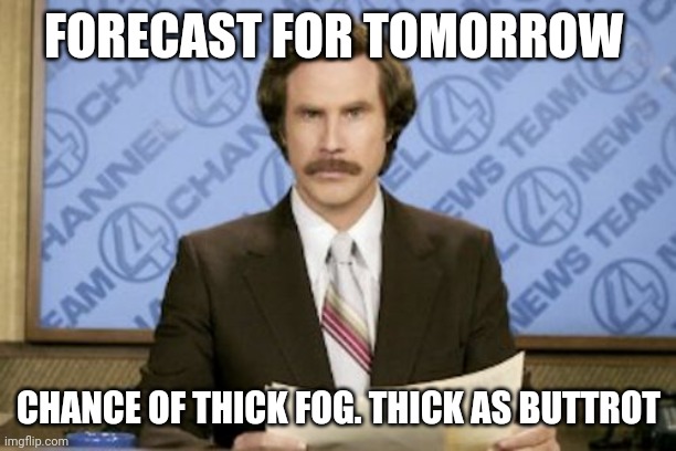 Ron Burgundy Meme | FORECAST FOR TOMORROW; CHANCE OF THICK FOG. THICK AS BUTTROT | image tagged in memes,ron burgundy | made w/ Imgflip meme maker