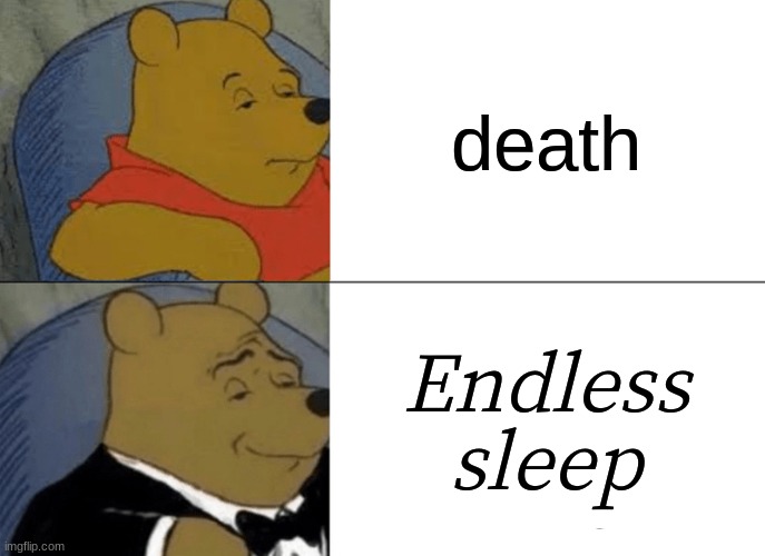 Inspired by the coma long sleep meme. No offense if any of your loved ones have this. | death; Endless sleep | image tagged in memes,tuxedo winnie the pooh | made w/ Imgflip meme maker