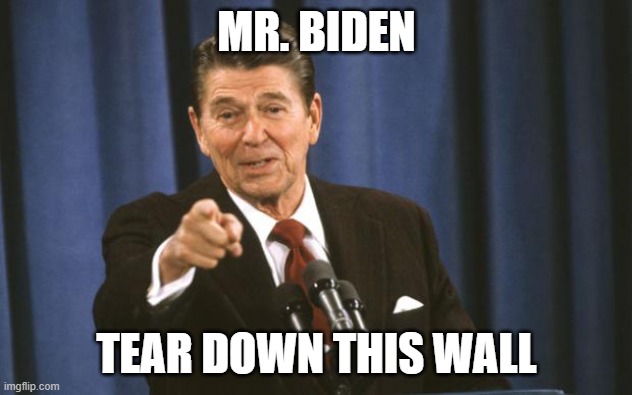 Ronald Reagan | MR. BIDEN TEAR DOWN THIS WALL | image tagged in ronald reagan | made w/ Imgflip meme maker