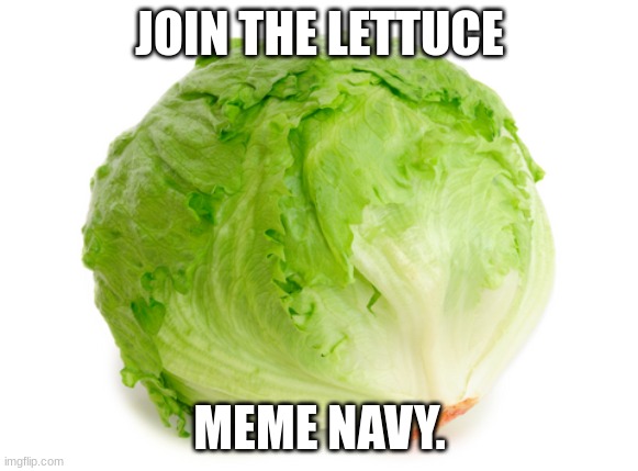 Lettuce | JOIN THE LETTUCE; MEME NAVY. | image tagged in lettuce | made w/ Imgflip meme maker