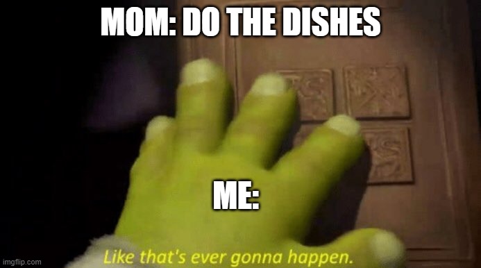 5 years later i did the dishes | MOM: DO THE DISHES; ME: | image tagged in like that's ever gonna happen | made w/ Imgflip meme maker