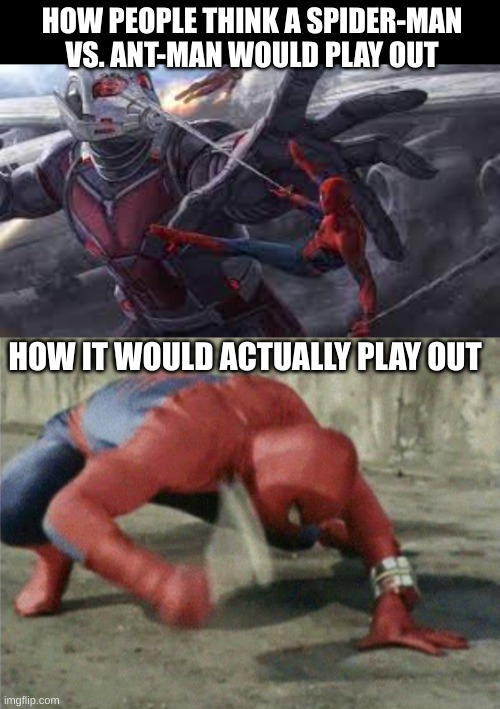 Spider-man for the win | HOW PEOPLE THINK A SPIDER-MAN VS. ANT-MAN WOULD PLAY OUT; HOW IT WOULD ACTUALLY PLAY OUT | image tagged in spiderman wrench | made w/ Imgflip meme maker