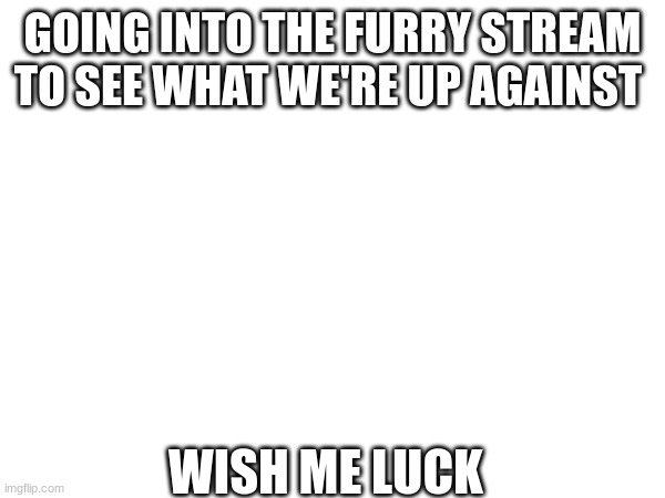 i'm going in | GOING INTO THE FURRY STREAM TO SEE WHAT WE'RE UP AGAINST; WISH ME LUCK | image tagged in tag,down with furries | made w/ Imgflip meme maker