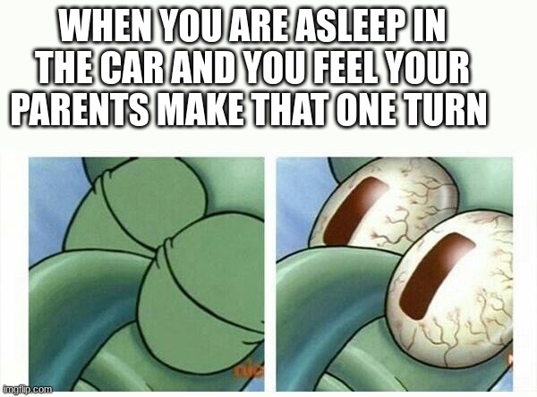 WHEN YOU ARE ASLEEP IN THE CAR AND YOU FEEL YOUR PARENTS MAKE THAT ONE TURN | image tagged in funny,and that's a fact,fun facts with squidward,memes | made w/ Imgflip meme maker