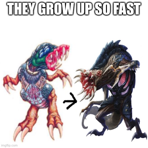 THEY GROW UP SO FAST | made w/ Imgflip meme maker