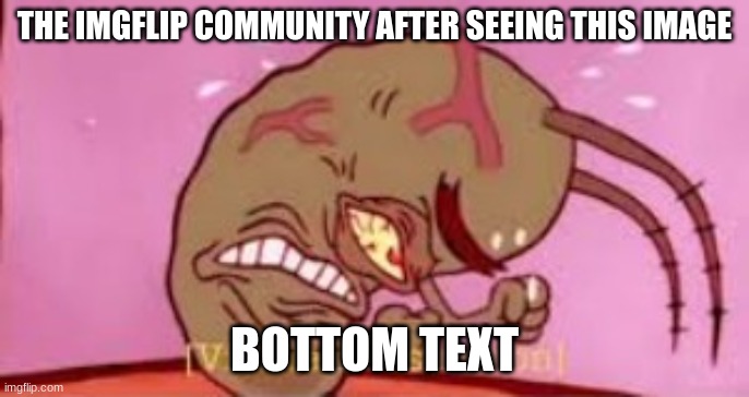 Visible Frustration | THE IMGFLIP COMMUNITY AFTER SEEING THIS IMAGE BOTTOM TEXT | image tagged in visible frustration | made w/ Imgflip meme maker