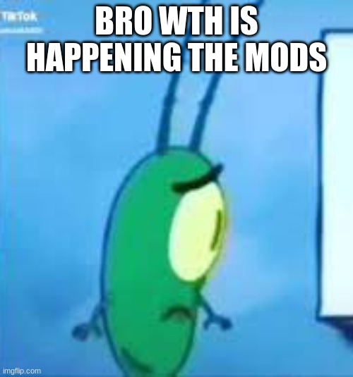 WHAT THE | BRO WTH IS HAPPENING THE MODS | image tagged in what the | made w/ Imgflip meme maker