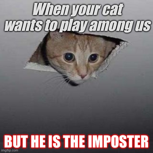 Catmong us |  When your cat wants to play among us; BUT HE IS THE IMPOSTER | image tagged in memes,ceiling cat,among us,imposter | made w/ Imgflip meme maker