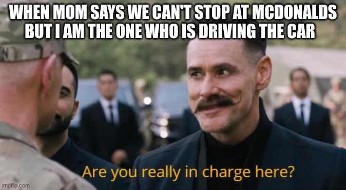 Are you really in charge here? | WHEN MOM SAYS WE CAN'T STOP AT MCDONALDS BUT I AM THE ONE WHO IS DRIVING THE CAR | image tagged in are you really in charge here,and that's a fact,funny memes | made w/ Imgflip meme maker