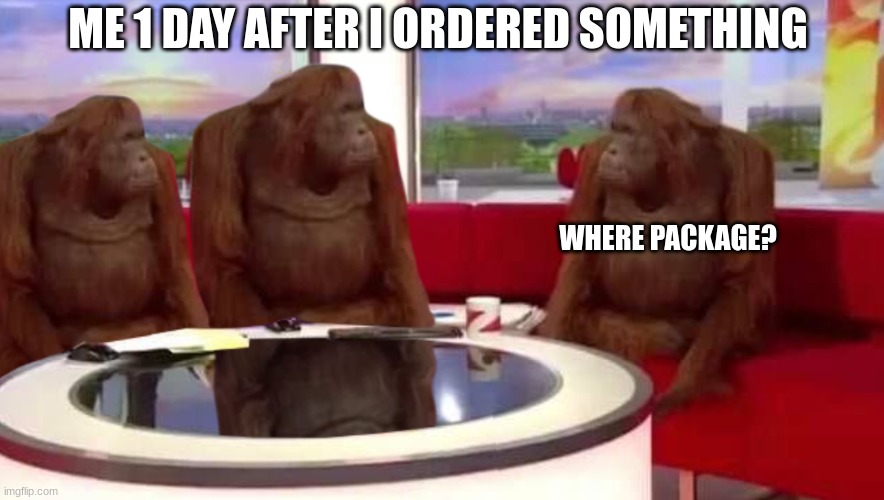 where monkey | ME 1 DAY AFTER I ORDERED SOMETHING; WHERE PACKAGE? | image tagged in where monkey | made w/ Imgflip meme maker