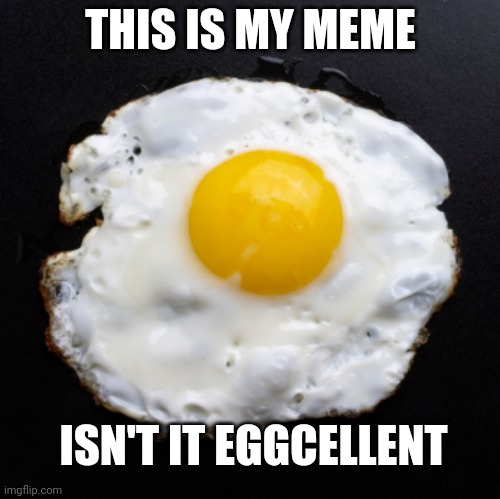 Ok I'm sorry | THIS IS MY MEME; ISN'T IT EGGCELLENT | image tagged in eggs | made w/ Imgflip meme maker