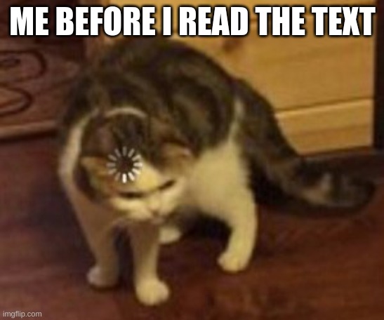 Loading cat | ME BEFORE I READ THE TEXT | image tagged in loading cat | made w/ Imgflip meme maker