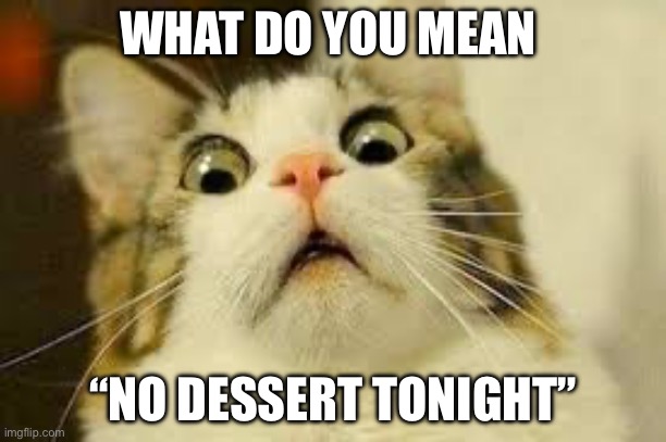 No dessert | WHAT DO YOU MEAN; “NO DESSERT TONIGHT” | image tagged in dessert,cats | made w/ Imgflip meme maker