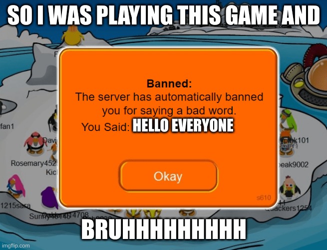 Club Penguin Ban | SO I WAS PLAYING THIS GAME AND; HELLO EVERYONE; BRUHHHHHHHHH | image tagged in club penguin ban | made w/ Imgflip meme maker