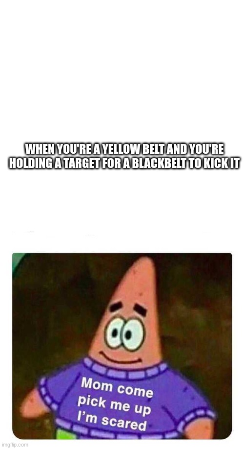 Happened to me last night. I WAS SCARED AF | WHEN YOU'RE A YELLOW BELT AND YOU'RE HOLDING A TARGET FOR A BLACKBELT TO KICK IT | image tagged in patrick mom come pick me up i'm scared | made w/ Imgflip meme maker