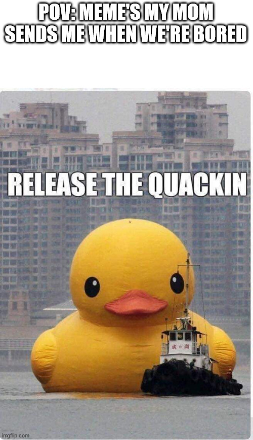RELESE THE QUACKINNNN | POV: MEME'S MY MOM SENDS ME WHEN WE'RE BORED | image tagged in duck,quack,memes,mom | made w/ Imgflip meme maker