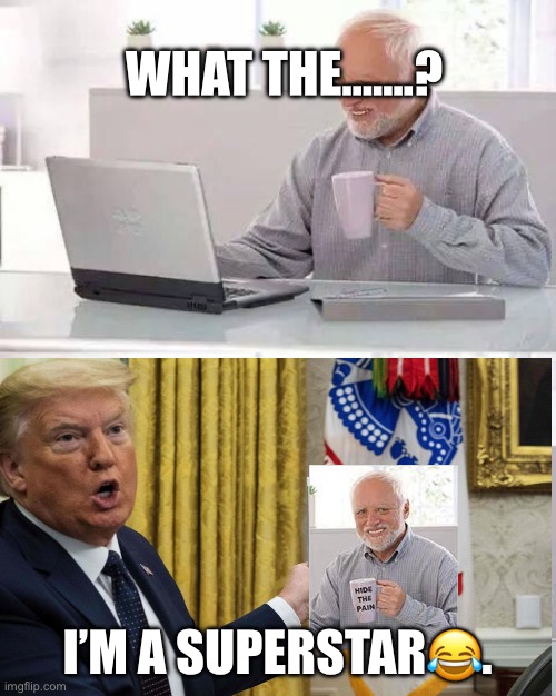 Harold | WHAT THE…….? I’M A SUPERSTAR😂. | image tagged in memes,hide the pain harold,donald trump | made w/ Imgflip meme maker