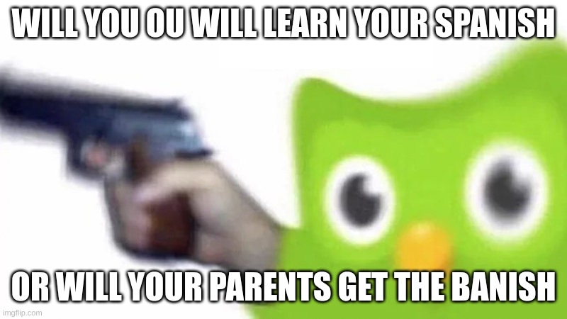 "Learn your Spanish," Says Dulingo bird while holding young child at gunpoint | WILL YOU OU WILL LEARN YOUR SPANISH; OR WILL YOUR PARENTS GET THE BANISH | image tagged in duolingo gun | made w/ Imgflip meme maker