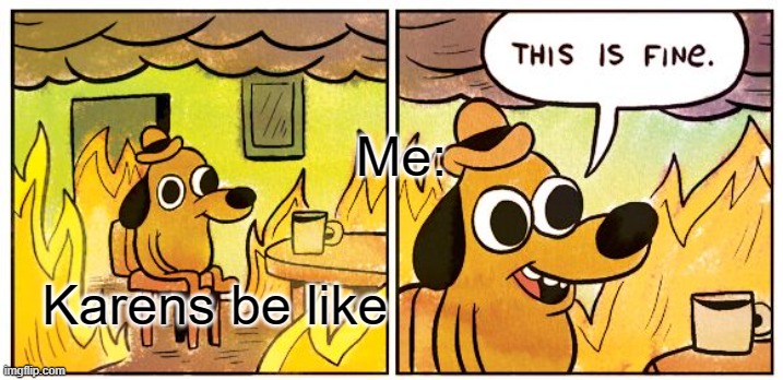 This Is Fine | Me:; Karens be like | image tagged in memes,this is fine | made w/ Imgflip meme maker