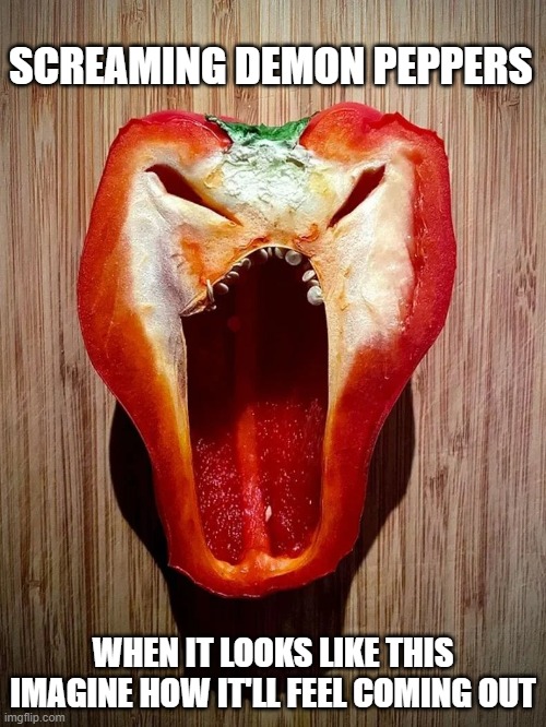screaming demon pepper | SCREAMING DEMON PEPPERS; WHEN IT LOOKS LIKE THIS IMAGINE HOW IT'LL FEEL COMING OUT | image tagged in pepper,memes | made w/ Imgflip meme maker