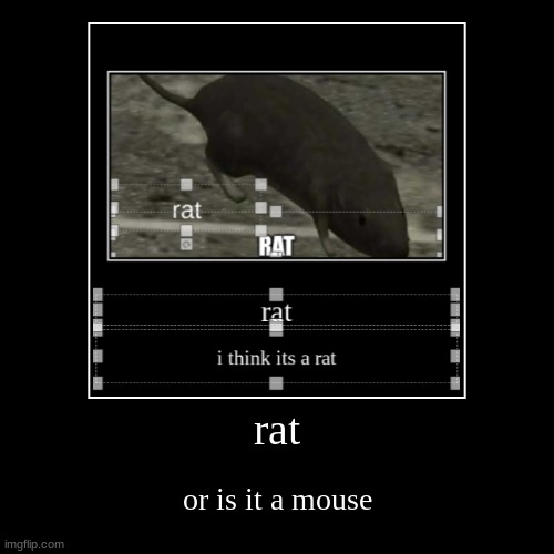 rat | or is it a mouse | image tagged in funny,demotivationals,rats,halo,3,mouse trap | made w/ Imgflip demotivational maker