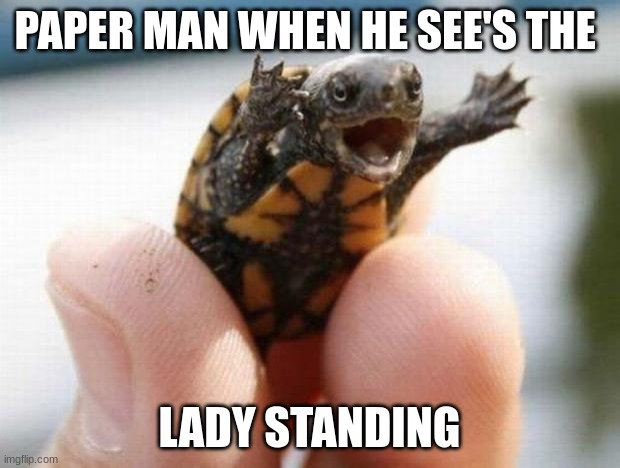 happy baby turtle | PAPER MAN WHEN HE SEE'S THE; LADY STANDING | image tagged in happy baby turtle | made w/ Imgflip meme maker