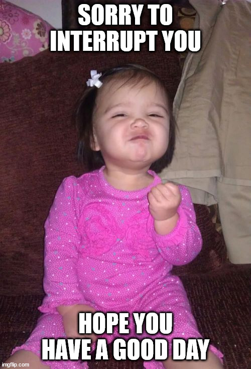 Success Kid Girl Meme | SORRY TO INTERRUPT YOU; HOPE YOU HAVE A GOOD DAY | image tagged in memes,success kid girl,funny memes,have a good day | made w/ Imgflip meme maker