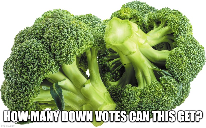 broc | HOW MANY DOWN VOTES CAN THIS GET? | image tagged in vegetables | made w/ Imgflip meme maker