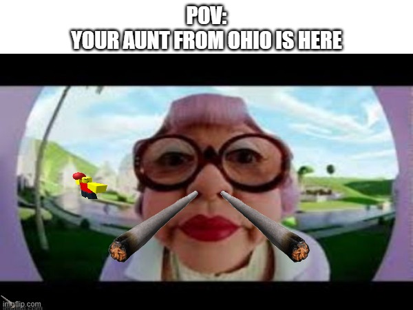 Goofy a aunt | POV:
YOUR AUNT FROM OHIO IS HERE | image tagged in funny memes | made w/ Imgflip meme maker