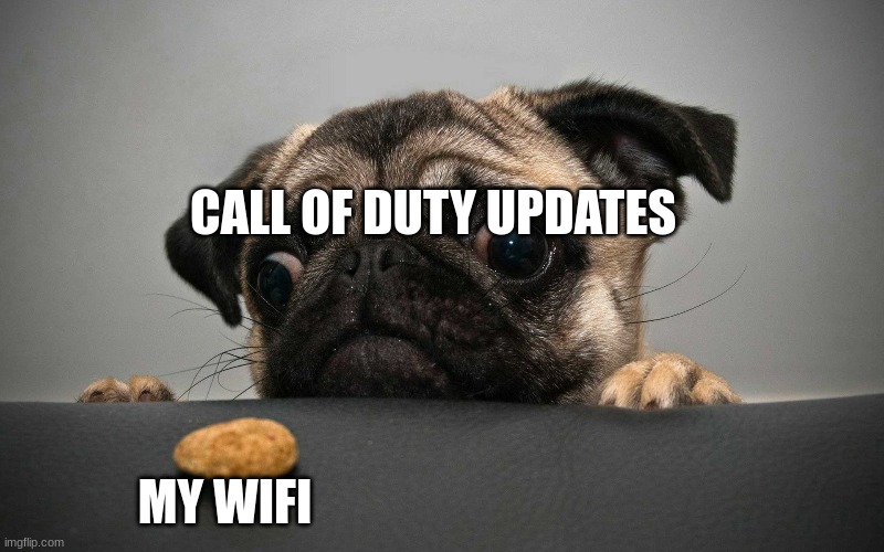 more wifi | CALL OF DUTY UPDATES; MY WIFI | image tagged in gaming | made w/ Imgflip meme maker
