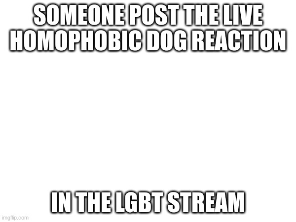 SOMEONE POST THE LIVE HOMOPHOBIC DOG REACTION; IN THE LGBT STREAM | made w/ Imgflip meme maker