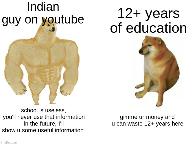 Buff Doge vs. Cheems Meme | Indian guy on youtube 12+ years of education school is useless, you'll never use that information in the future, I'll show u some useful inf | image tagged in memes,buff doge vs cheems | made w/ Imgflip meme maker